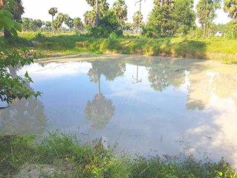 Vụ 5 trẻ em tử vong do đuối nước ở An Giang: Nghẹn ngào ước mơ không thành của cô học trò nghèo - 1 Vụ 5 trẻ em tử vong do đuối nước ở An Giang: Nghẹn ngào ước mơ không thành của cô học trò nghèo - 1