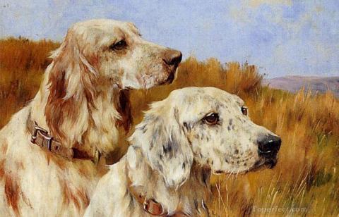 Tuổi Tuất gặp xui trong thời gian tới