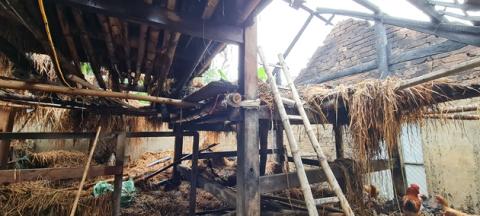 Khởi tố nghịch tử phóng hỏa đốt cả chuồng gia súc vì bị mẹ mắng - 1