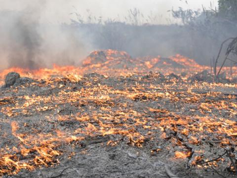 Cháy lớn dưới cầu Thanh Trì, cột khói đen bốc cao hàng chục mét - 4 Cháy lớn dưới cầu Thanh Trì, cột khói đen bốc cao hàng chục mét - 4