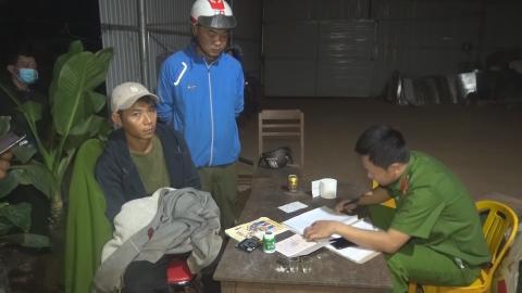 Tạm giữ hình sự người đàn ông trồng hàng ngàn cây cần sa để...cho gà ăn