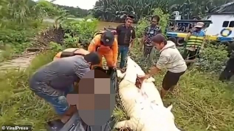 Hãi hùng bé trai 8 tuổi bị cá sấu nuốt chửng ở Indonesia - 1