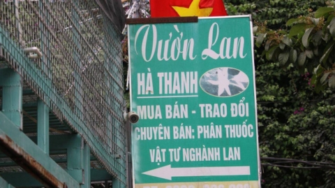Lời khai của chủ vườn lan đột biến ở Hà Nội bị tố ôm 200 tỷ đồng bỏ trốn - Ảnh 1.