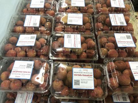 Những loại quả ở Việt Nam rẻ như cho nhưng bán ra nước ngoài gần nửa triệu đồng/kg - Ảnh 4.