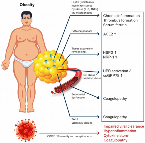 Phát hiện kỳ lạ về COVID-19: Khi virus 