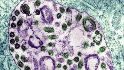 _methode_times_prod_web_bin_4124c9a8-068d-11ed-a986-fc91b4ad48f0.jpg _methode_times_prod_web_bin_4124c9a8-068d-11ed-a986-fc91b4ad48f0.jpg