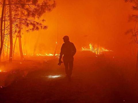 Nắng nóng thiêu đốt khắp thế giới: Nguyên nhân đến từ cái bơm khổng lồ của con người! - Ảnh 1.