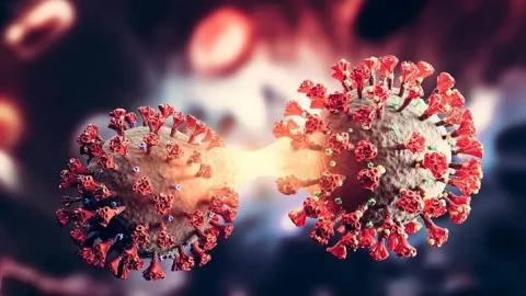 Nóng: Việt Nam ghi nhận biến thể phụ BA.2.74 của Omicron - Ảnh 1.