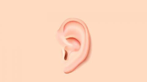 tuong-nguoi-phat-dat-02