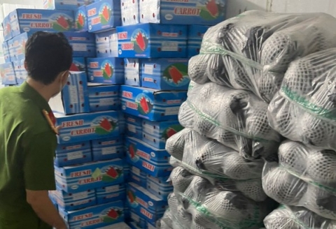 Phát hiện gần 12 tấn rau củ Trung Quốc giả mạo Đà Lạt chuẩn bị đưa đi tiêu thụ - Ảnh 1.