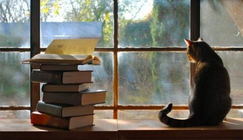 neu-cam-thay-cuoc-song-met-moi-hay-nho-7-dieu-nay-ce228ac341cb4db5b59e7f5c9ed05ef6