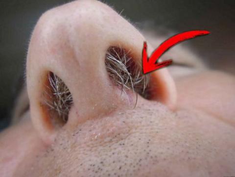 2416B584-FEE9-4550-A8EF-F0CC7BC9DD55