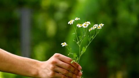 hay-biet-on-doi-www.ngonluanho.net