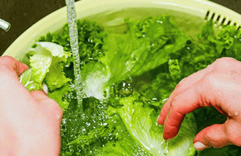 sai-lam-khi-rua-rau1