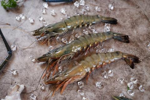 z2240070543309_d10920b444f6c54021706496d1dab453-scaled