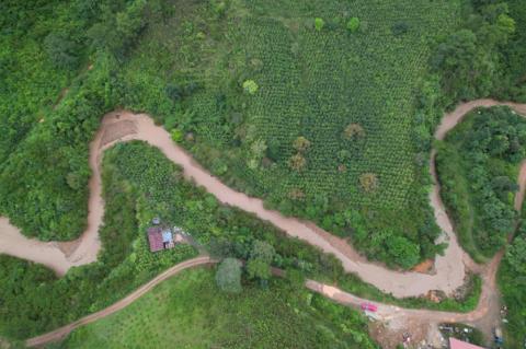 Nguyên nhân 4 du khách nước ngoài tử vong trong vụ lũ cuốn ở Lâm Đồng - Ảnh 1. Nguyên nhân 4 du khách nước ngoài tử vong trong vụ lũ cuốn ở Lâm Đồng - Ảnh 1.