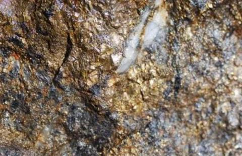 mỏ vàng, vàng, Rand Central Gold Mine