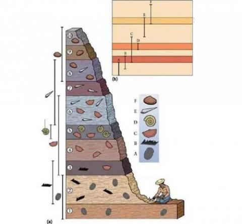 mỏ vàng, vàng, Rand Central Gold Mine