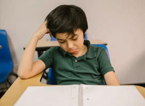 day-con2-ngoisaovn-w600-h439 1