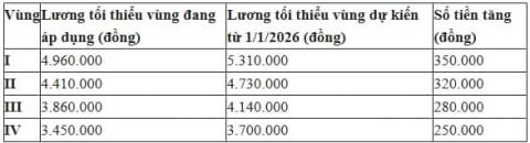 Tin vui từ năm 2026: Lương tối thiểu vùng I có thể tăng lên 5,31 triệu đồng/tháng 0
