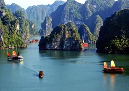 Về Hải Phòng ngắm sắc đỏ hoa phượng