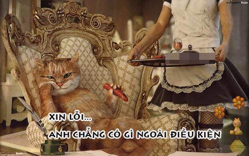 Ảnh cười bể bụng (P5): Những phút 'nguy hiểm' của động vật