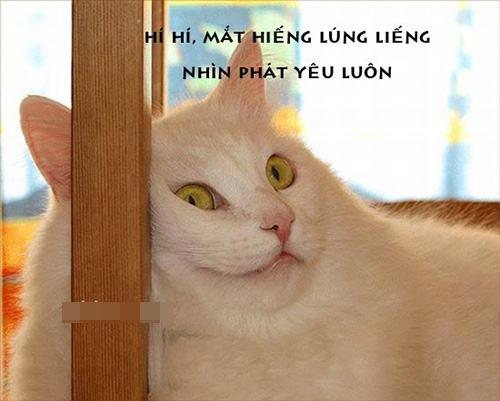 Ảnh cười bể bụng (P5): Những phút 'nguy hiểm' của động vật
