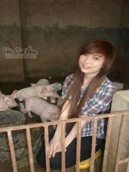 Ảnh cười bể bụng (P25): Những hình ảnh 'cực độc' ở Việt Nam