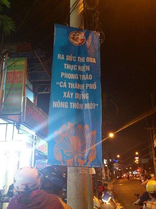 Ảnh cười bể bụng (P25): Những hình ảnh 'cực độc' ở Việt Nam