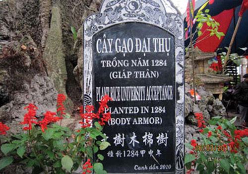 Ảnh cười bể bụng (P28): Những biển hiệu dịch 'thô' khó đỡ
