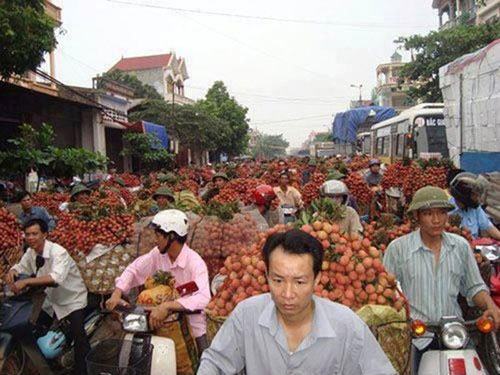 Ảnh cười bể bụng (P36): Những hình ảnh 'cực độc' ở Việt Nam