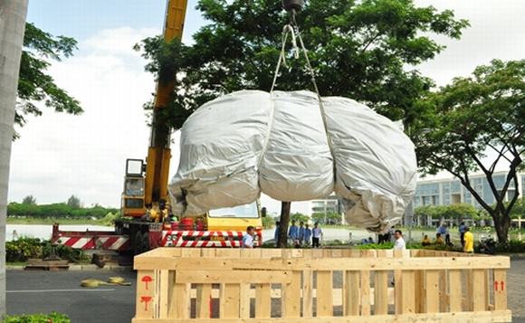 Chú vịt vàng khổng lồ cao bằng tòa nhà 6 tầng đến TP.HCM chu vit vang khong lo, chu vit hoa binh, chu bit vang khong lo o Viet Nam, vit khong lo
