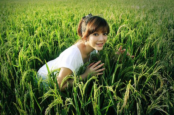 ly-nha-ky-thoi-que-mua5