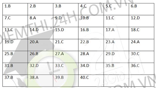 Gợi ý giải đề thi tốt nghiệp THPT môn Sinh học 2014 (ĐÃ CÓ ĐỀ CHÍNH THỨC) de thi mon sinh hoc tot nghiep THPT, de thi sinh hoc tot nghiep 2014, dap an mon sinh tot nghiep THPT, dap an mon sinh hoc, thi tot nghiep THPT, tot nghiep THPT 2014