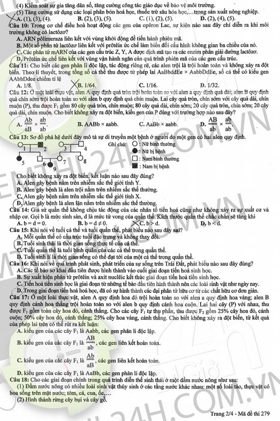 Gợi ý giải đề thi tốt nghiệp THPT môn Sinh học 2014 (ĐÃ CÓ ĐỀ CHÍNH THỨC) de thi mon sinh hoc tot nghiep THPT, de thi sinh hoc tot nghiep 2014, dap an mon sinh tot nghiep THPT, dap an mon sinh hoc, thi tot nghiep THPT, tot nghiep THPT 2014