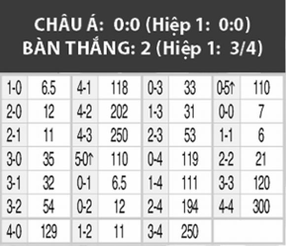 world cup 2014, chung ket world cup, doi tuyen duc, brazil, tran chung ket,