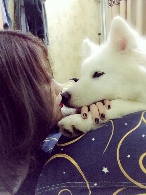 Nữ thợ xăm 9X sở hữu chó bạch tuyết Samoyed nu tho xam 9X,cho bach tuyet Samoyed, tho sam 9X so huu cho bach tuyet
