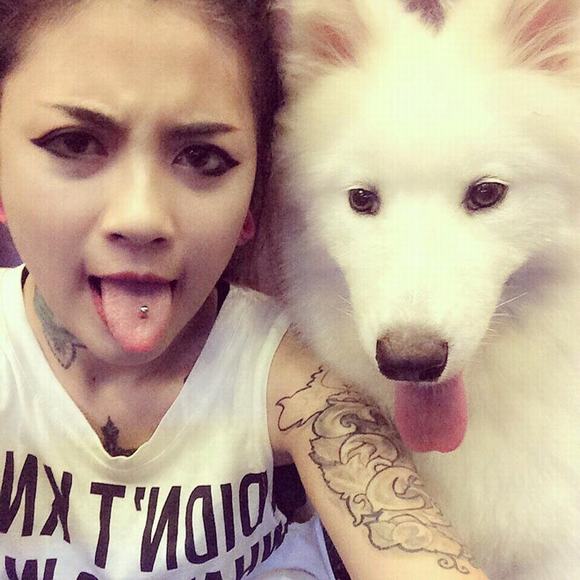 Nữ thợ xăm 9X sở hữu chó bạch tuyết Samoyed nu tho xam 9X,cho bach tuyet Samoyed, tho sam 9X so huu cho bach tuyet
