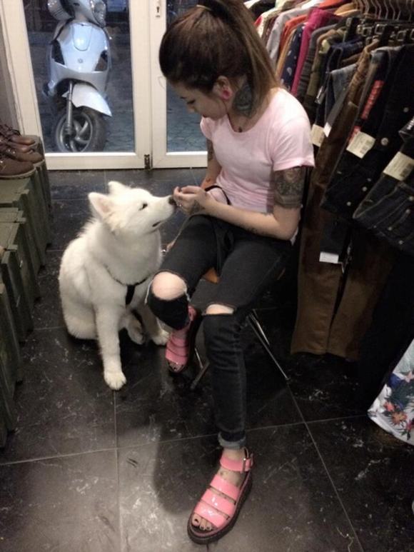 Nữ thợ xăm 9X sở hữu chó bạch tuyết Samoyed nu tho xam 9X,cho bach tuyet Samoyed, tho sam 9X so huu cho bach tuyet