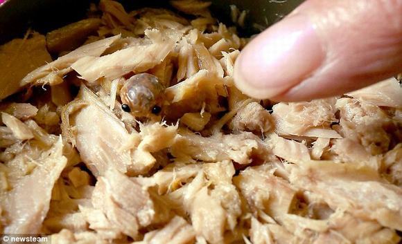 'Sởn da gà' trước những 'vật thể lạ' xuất hiện trong thức ăn 'Sởn da gà' trước những 'vật thể lạ' xuất hiện trong thức ăn