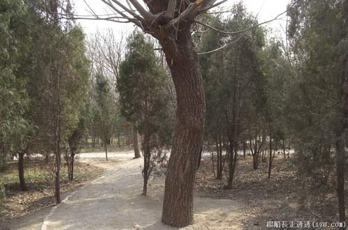 Qua đồi Cảnh Dương bâng khuâng nhớ Võ Tòng, Du lịch, Đồi Cảnh Dương, Miếu Võ Tòng, Quán rượu, du lịch Trung Quốc, đả hổ, bia đá, phong cảnh tuyệt đẹp, thơ văn, Mao Trạch Đông