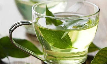 Dùng trà xanh không đúng cách 'biến' chúng thành thuốc độc