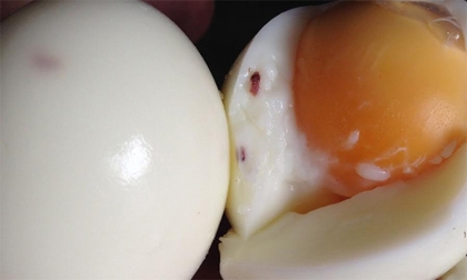 Hà Nội: Phát hiện chấm đỏ lạ thường trong lòng trắng trứng gà công nghiệp sau khi luộc
