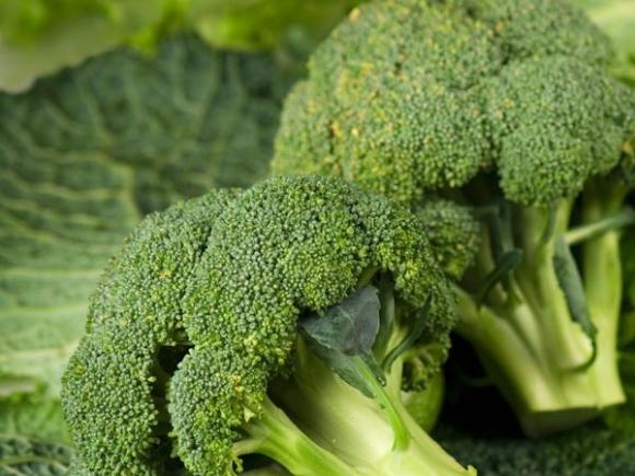 trị ngứa da đầu trị ngứa da đầu
