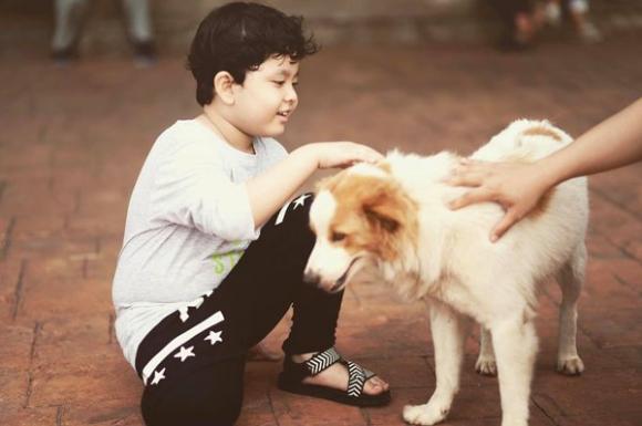 nhoc tỳ sao việt nhoc tỳ sao việt