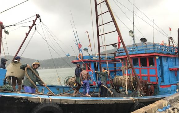 Ảnh: Người dân hối hả chằng nhà, tháo mái tôn hàng loạt để tránh bão - Ảnh 9. Ảnh: Người dân hối hả chằng nhà, tháo mái tôn hàng loạt để tránh bão - Ảnh 9.