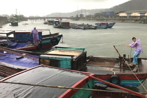 Ảnh: Người dân hối hả chằng nhà, tháo mái tôn hàng loạt để tránh bão - Ảnh 8. Ảnh: Người dân hối hả chằng nhà, tháo mái tôn hàng loạt để tránh bão - Ảnh 8.