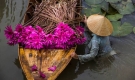 Báo New Zealand nêu 10 lý do du khách nên đến Việt Nam
