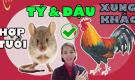 Người xưa nói nhỏ: 'Không yêu tuổi Tí, không lấy tuổi Dần, không gần tuổi Dậu', lý do là gì?