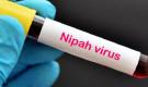 Bộ Y tế yêu cầu cách ly nghiêm ngặt các trường hợp nghi ngờ mắc virus Nipah